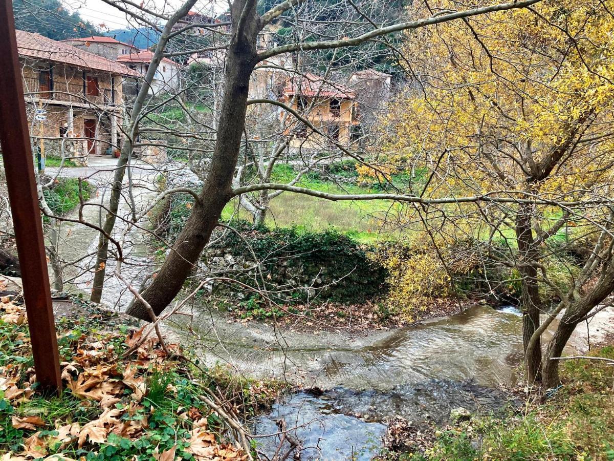 Hotel Pritanio Polídhroson Zewnętrze zdjęcie