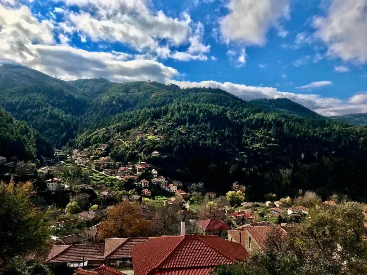 Hotel Pritanio Polídhroson Zewnętrze zdjęcie